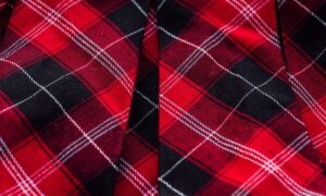 Tartan Vs Plaid